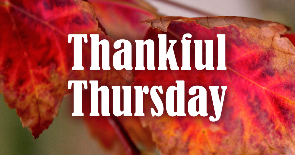 Thankful Thursday graphic with fall leaves